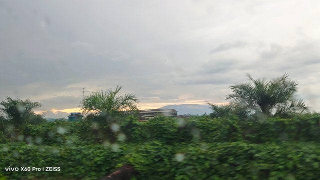 1000670997.jpg