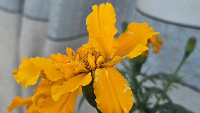 20250330_063757.jpg