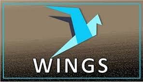 wings principal.jpg