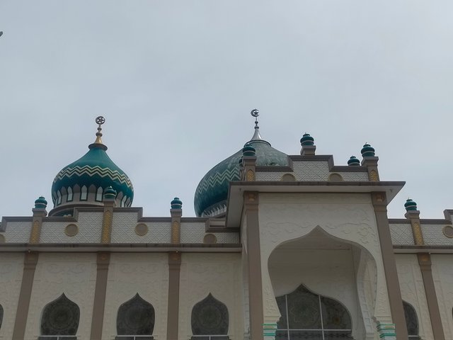 IMG_20250406_141359.jpg