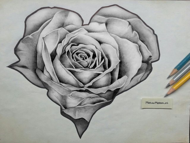 Dibujo - Rosa Realista // Con forma de corazón — Steemit