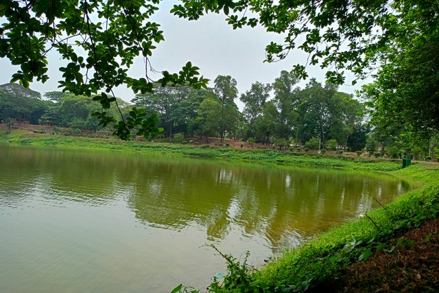 IMG20250404114542.jpg