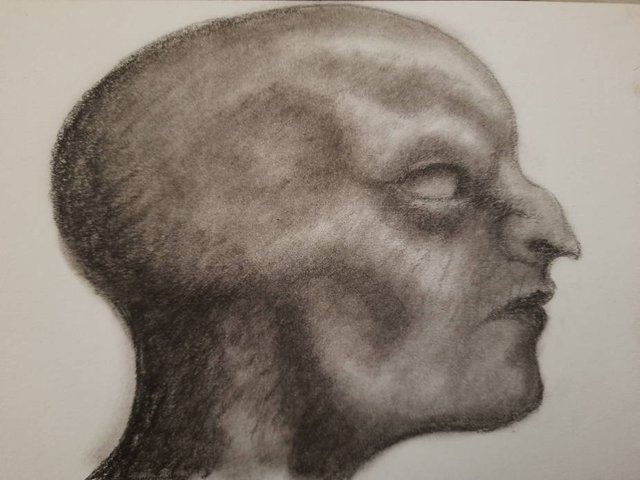 20250802_133557.jpg