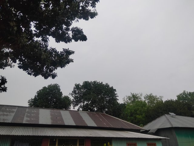 IMG20250321125833.jpg