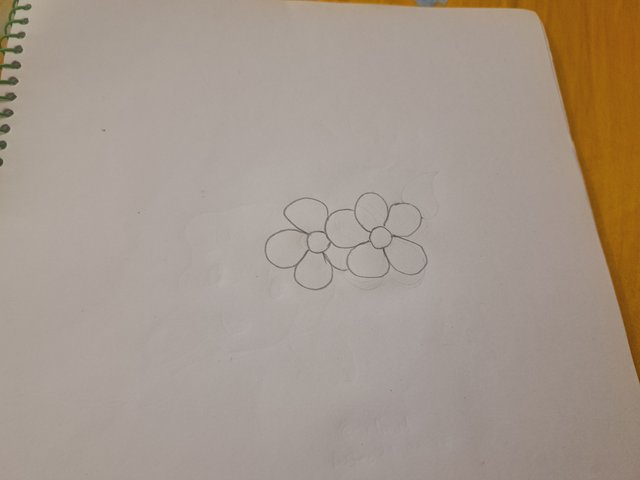 1000056927.jpg