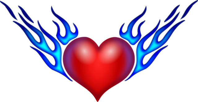 heart-33735_960_720.png