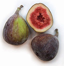 4_1_1_figs.jpg