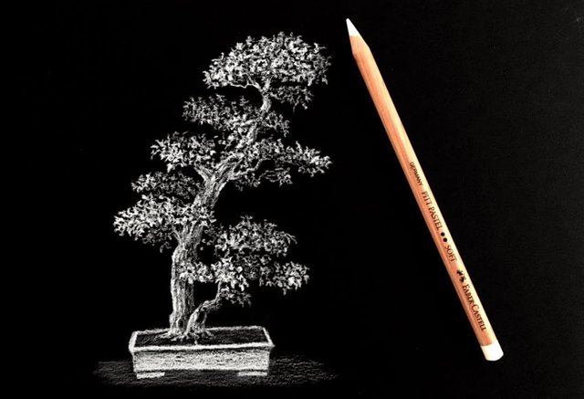 https://steemitimages.com/640x0/https://cdn.steemitimages.com/DQmakdt6Goe2P1orNKGBLyw33HemwJKJrE2SJUrLTiXxwWV/tree-drawing-with-white-pencil.jpg