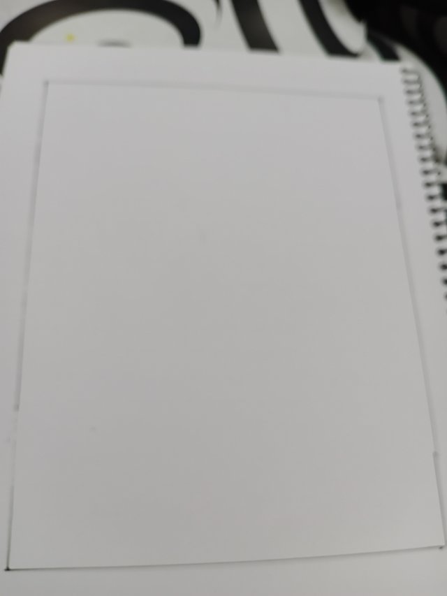 887.jpg