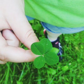 4 leaf clover.jpg