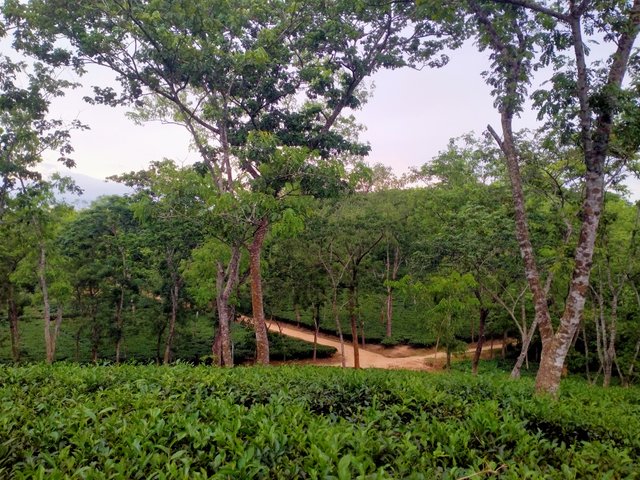 IMG20250701181001.jpg