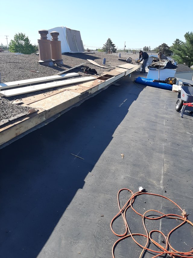 roof  (3).jpg