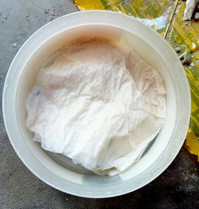 IMG_20250817_170745.jpg