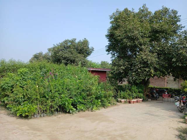 1000081979.jpg