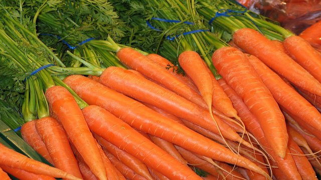 carrot 1.jpg