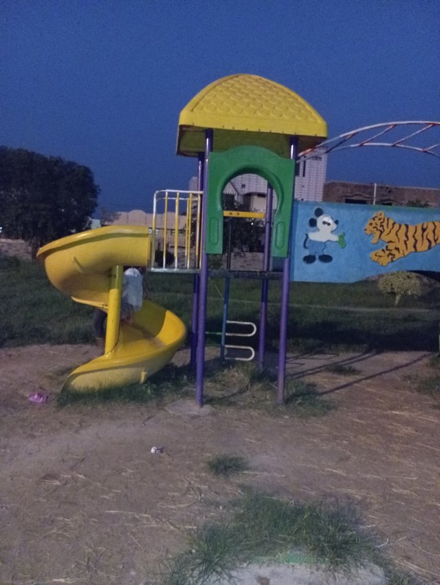 1000577541.jpg