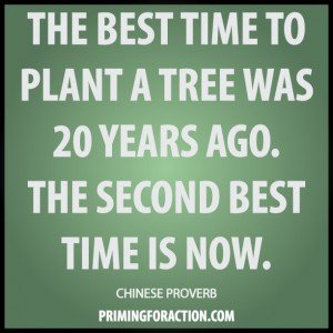 The best time to plant a tree was 20 and the second best time is now.jpg
