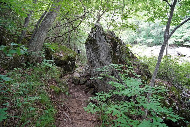 b-DSC00200.JPG
