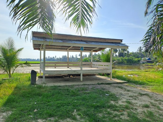 20250726_164945.jpg