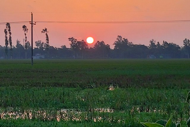 20250627_052456~2.jpg
