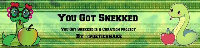 Snekked banner steemit.jpg