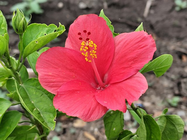 IMG_20250720_201816.