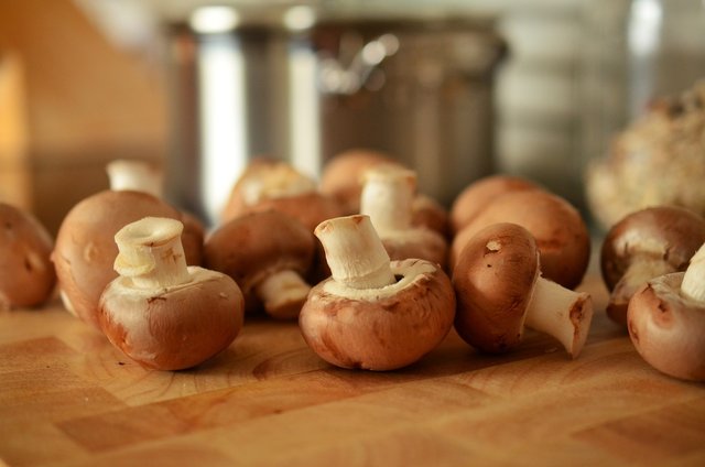 mushrooms-756406_1920.jpg