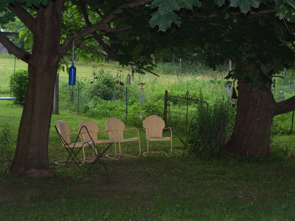 Chairs under trees crop June 2019.jpg