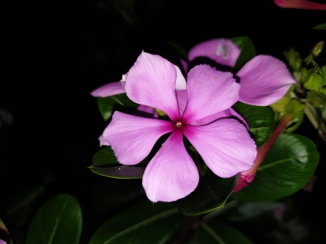 20220918_213831.jpg