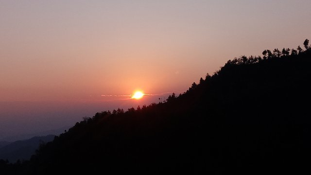20250322_061917.jpg