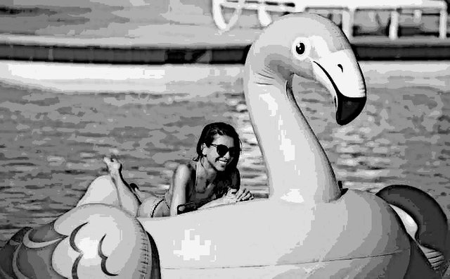 Model in flamingo on swimming pool.jpg