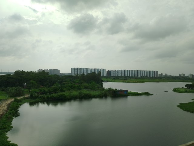 IMG_20240629_161319.jpg