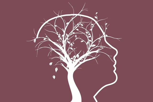 tree-7817601_1280.webp