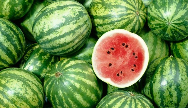 Watermelon -1.jpg