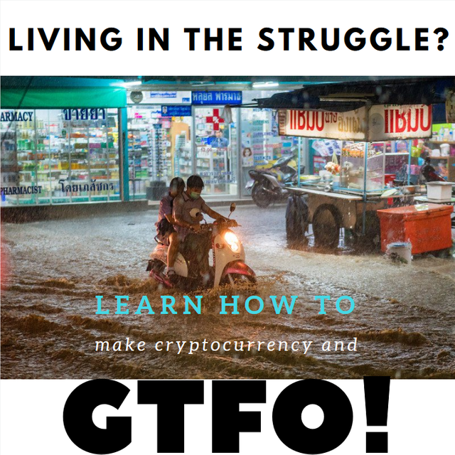 cryptoad.png