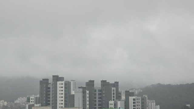 1000138327.jpg