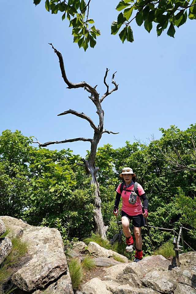 b-DSC07646.JPG