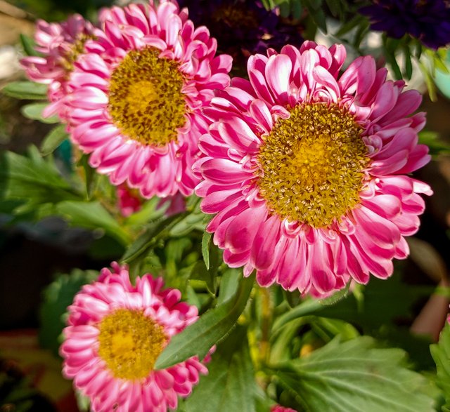 IMG20250116124016.jpg