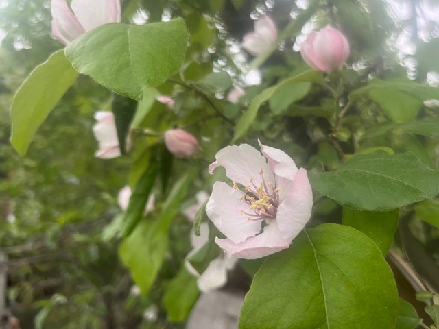 IMG_3361.jpeg