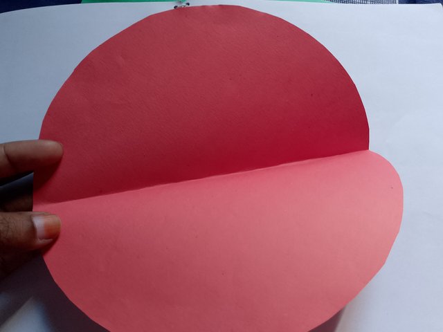 1000053700.jpg