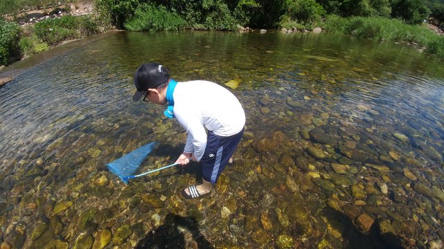 20180731_135540.jpg