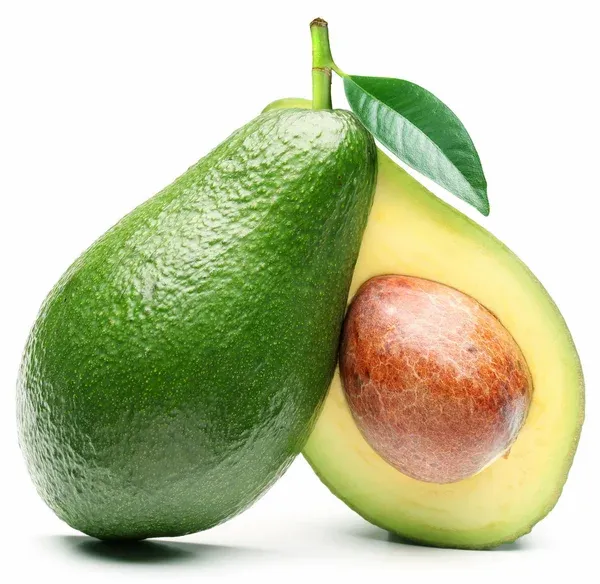 avacado.jpg