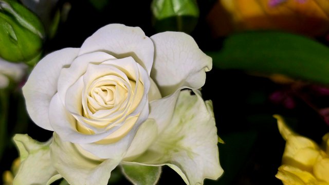 20250518_221118.jpg