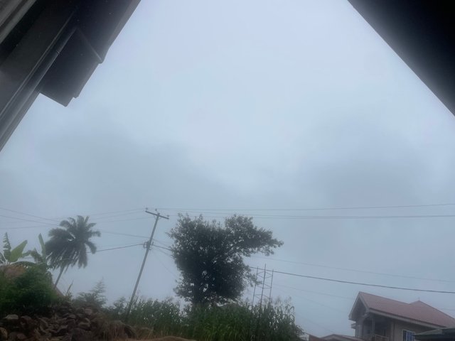 IMG_3041.jpeg