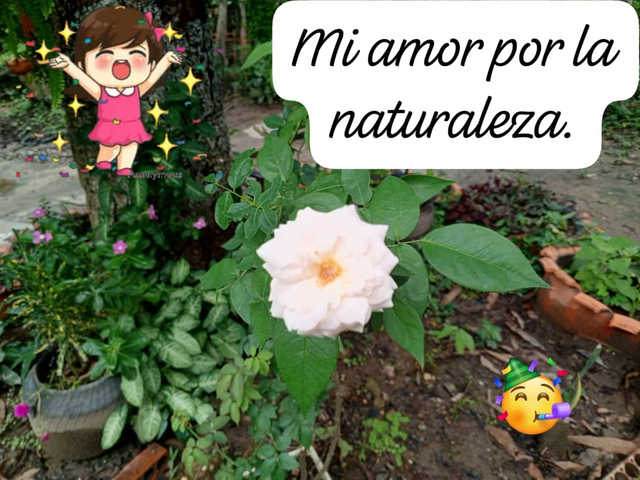 imagen.png