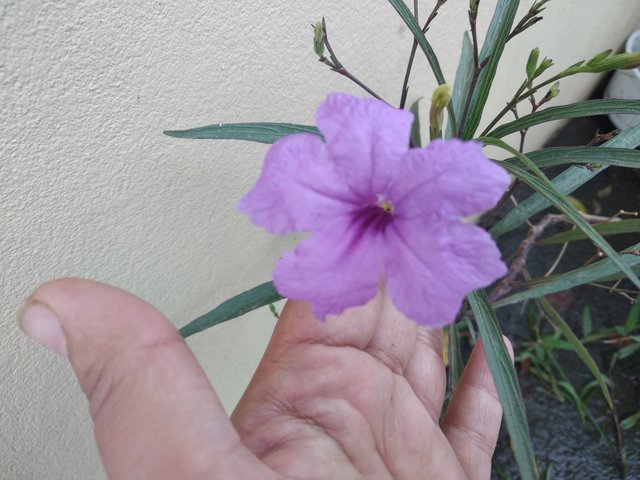 IMG_20250419_102510.jpg