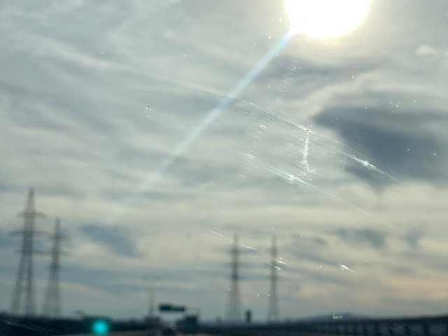IMG_2828.JPG