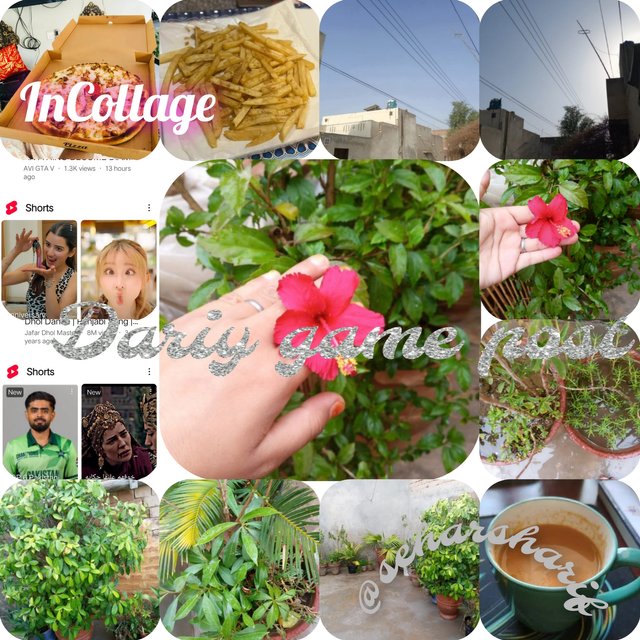 InCollage_20250522_101135965.jpg