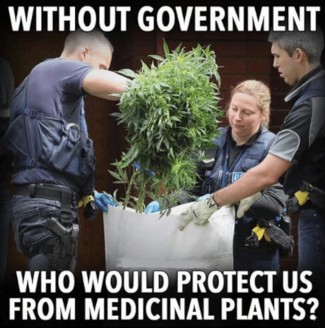 without-government-the-freethoughtproject-com-who-would-protect-us-from-19805281.jpg