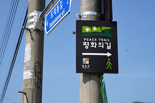 b-DSC00884.JPG